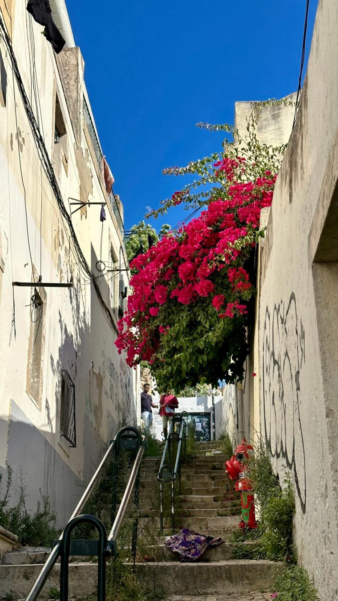Castle Suites Lisboa Ngoại thất bức ảnh